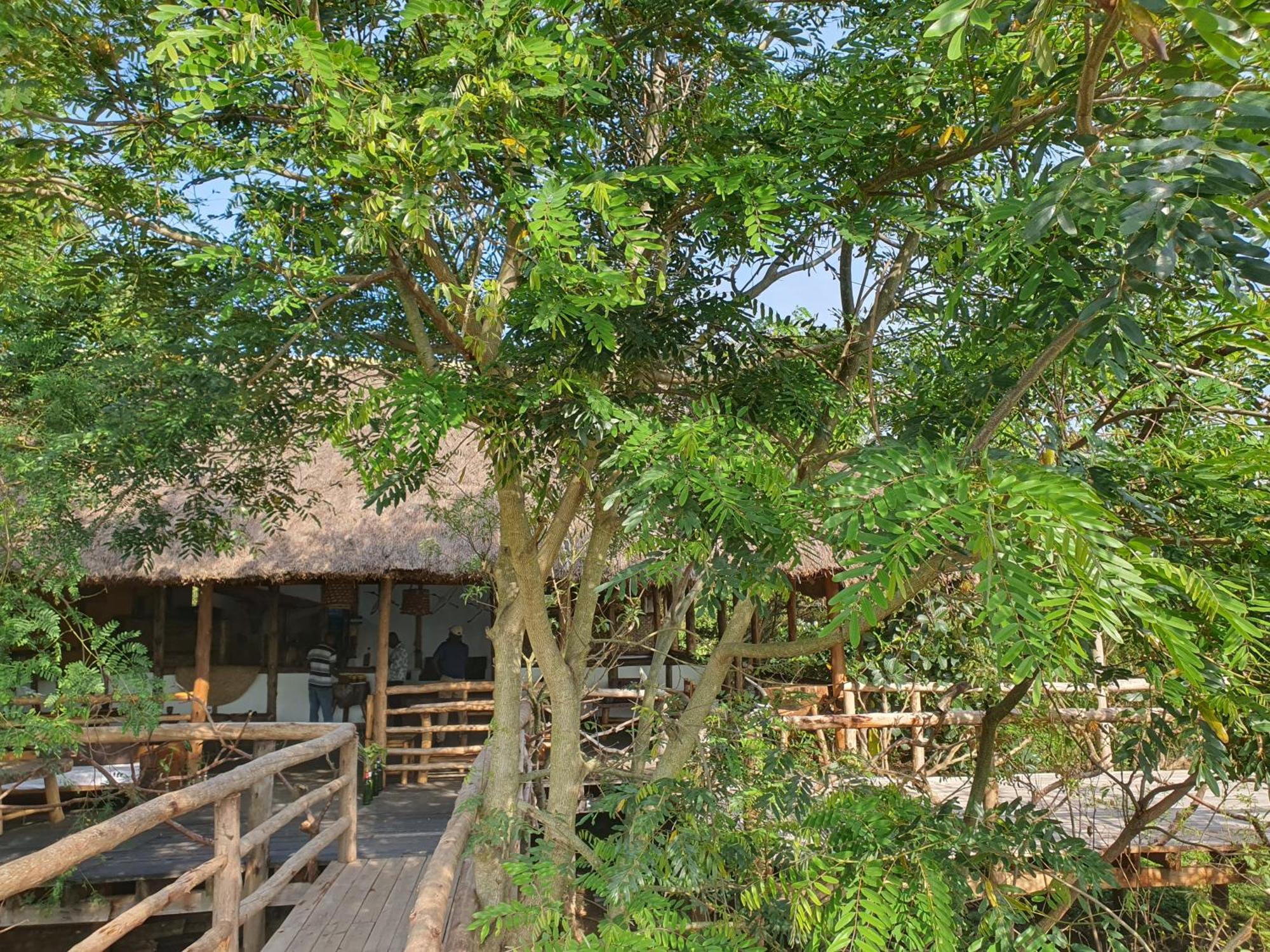 Topi Lodge Katunguru Esterno foto