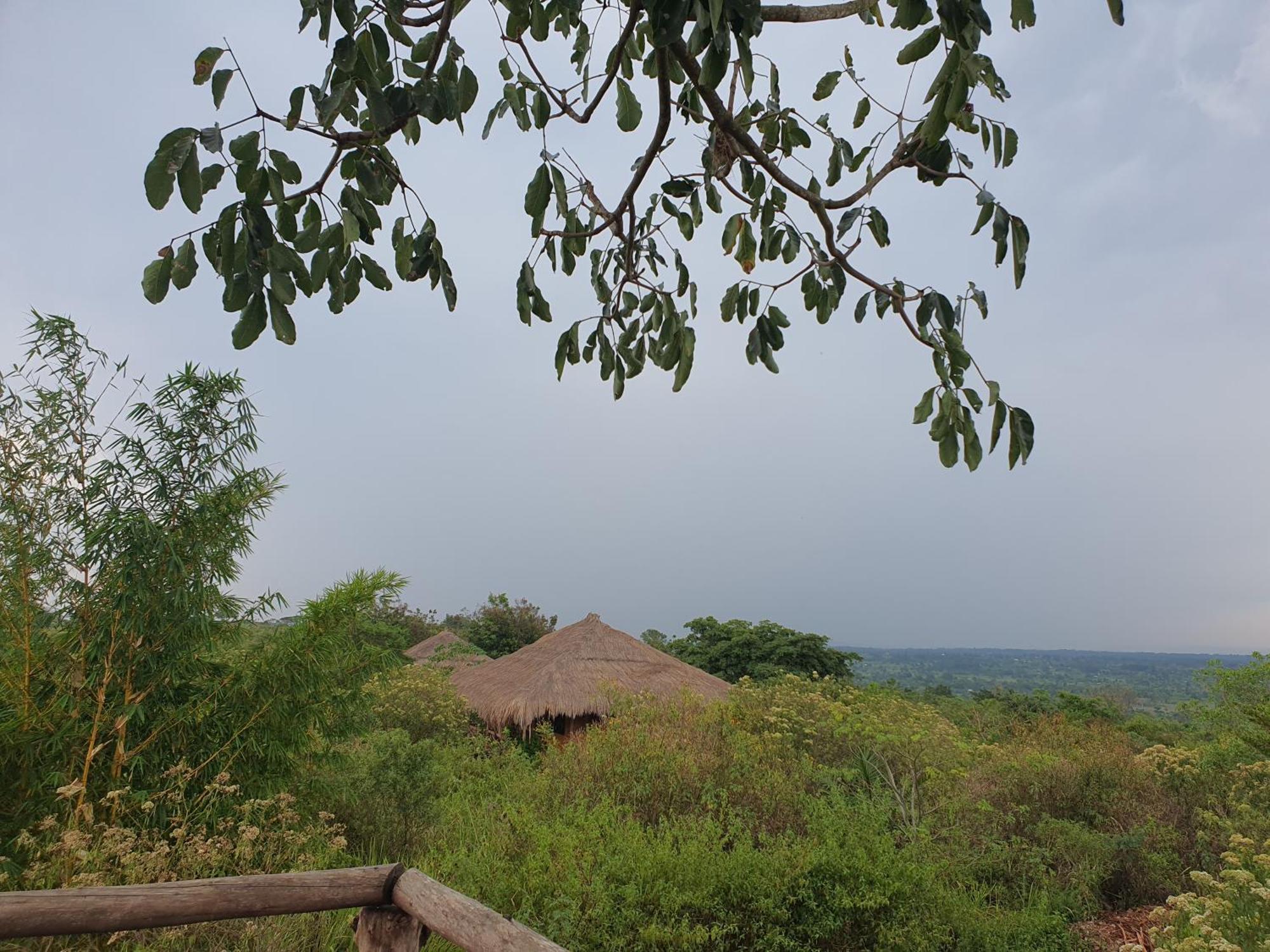 Topi Lodge Katunguru Esterno foto